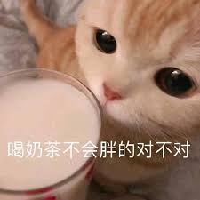 奶茶不会胖的GIF表情
