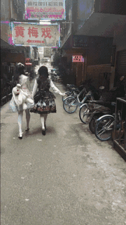 表情包