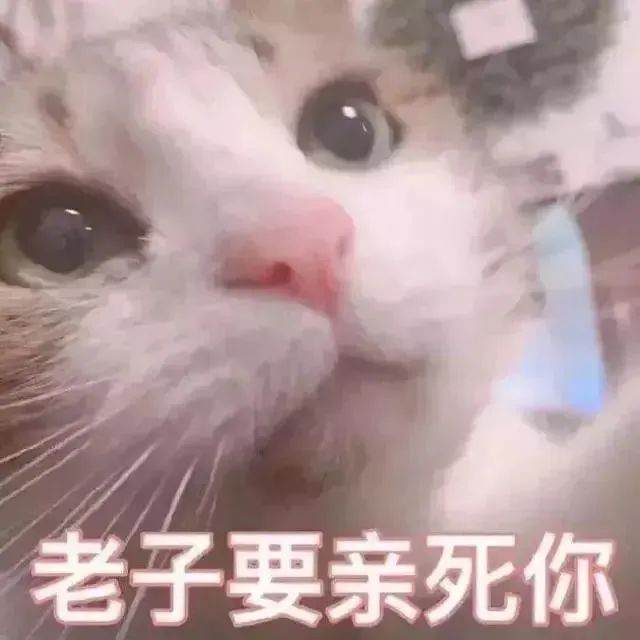 专用Emoji搞笑QQ表情