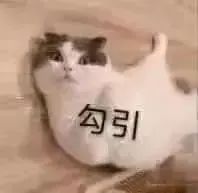 表情包