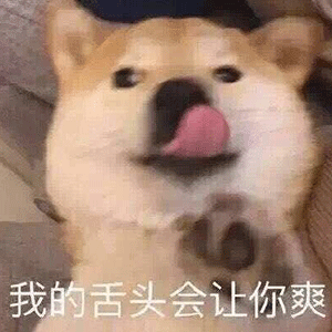 表情包表情大全