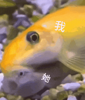 表情包