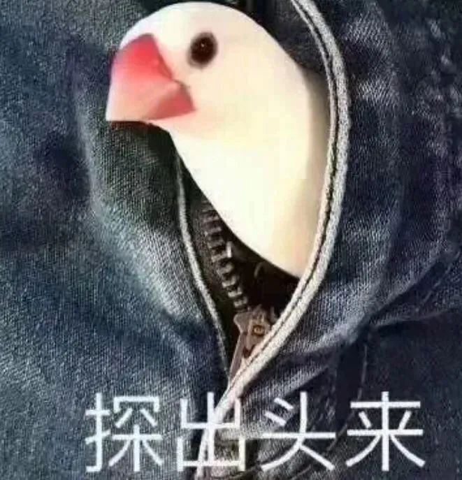 表情包表情大全