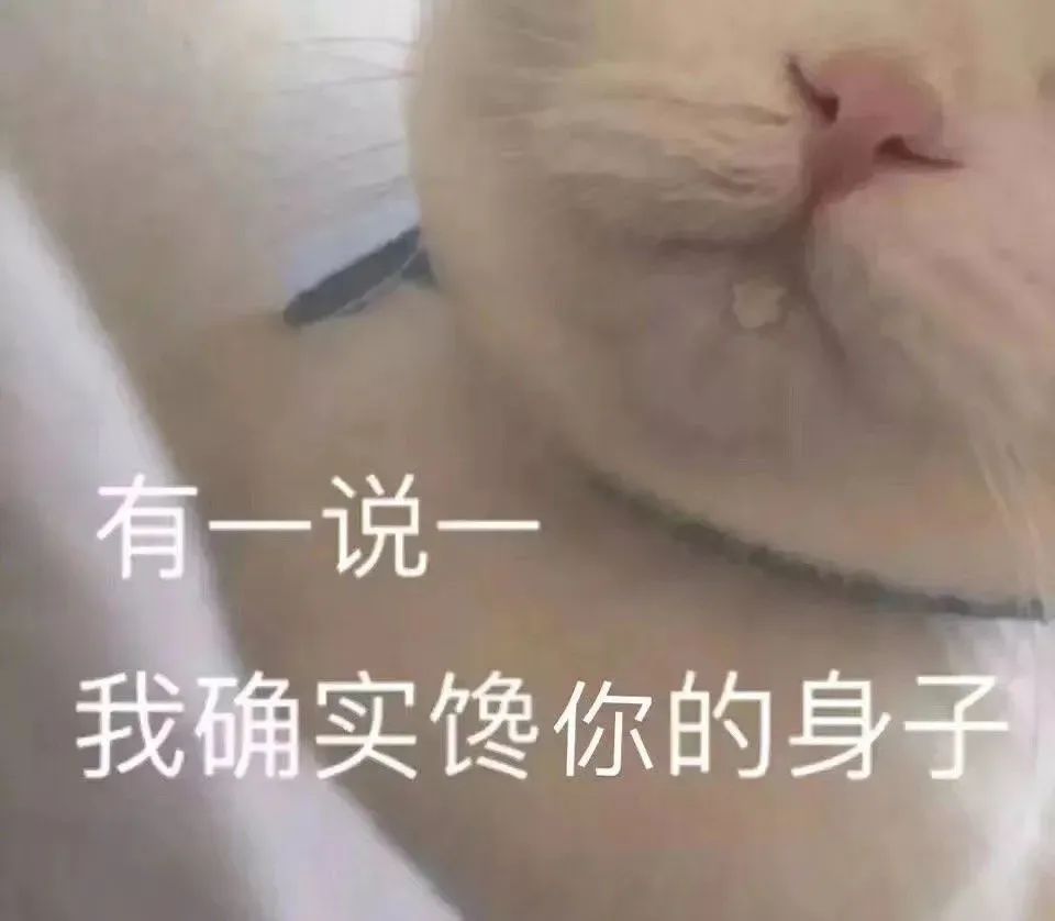 表情包
