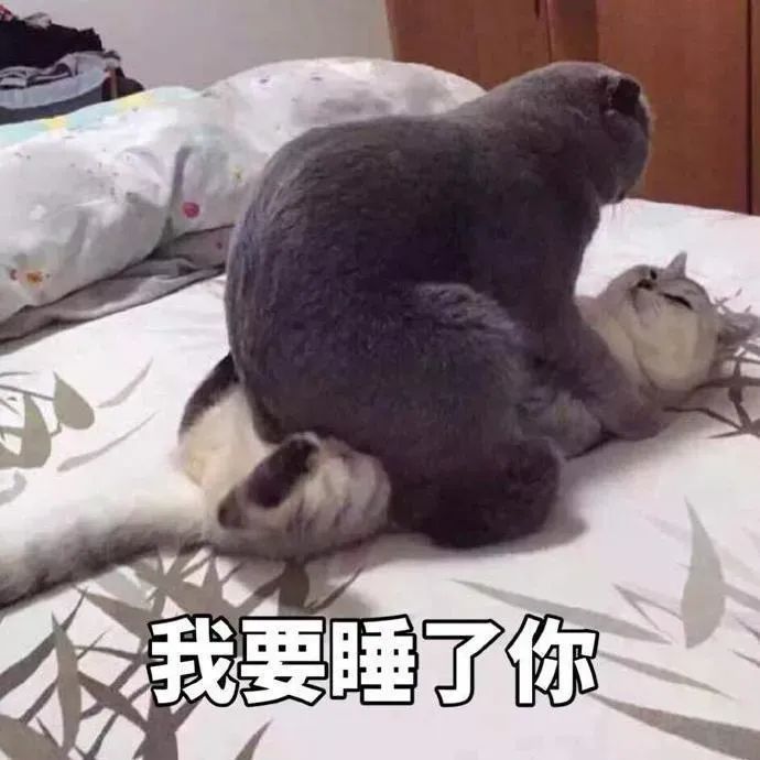 表情图片下载
