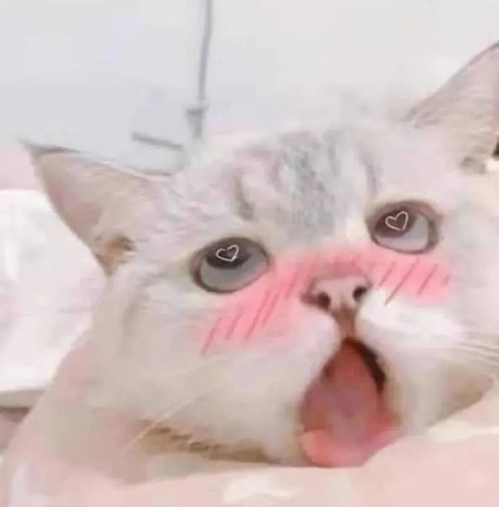 表情包