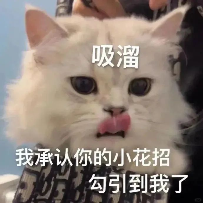 符号动图GIF