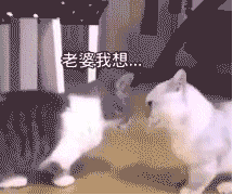 符号动图GIF