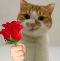 小猫送鲜花表情包