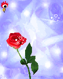 鲜花gif表情包