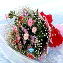 stickers鲜花表情包