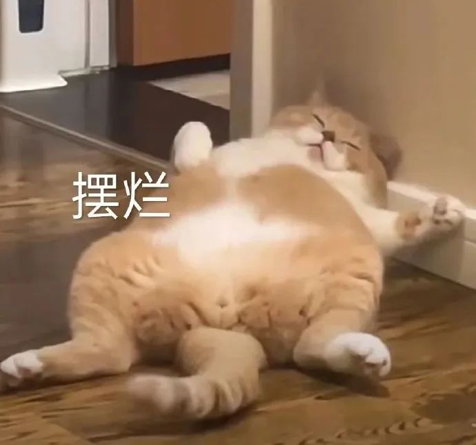 开始摆烂表情符号动图GIF