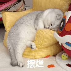 废物摆烂表情图片下载