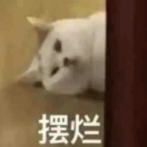猫咪摆烂表情符号动图GIF