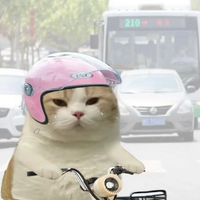 班味表情包