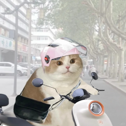 一身班味表情包