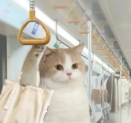 一身班味表情包
