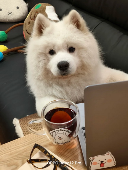 班味表情包