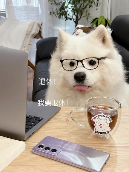 一身班味表情包