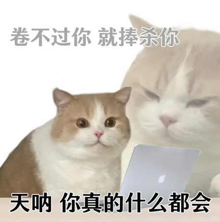 班味儿表情图片下载