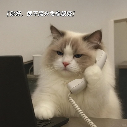 班味表情包