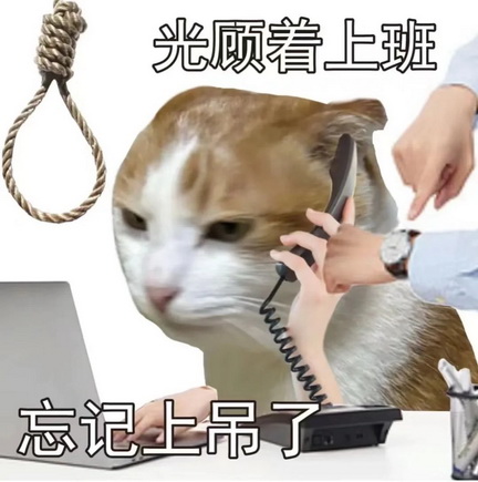 一身班味表情包