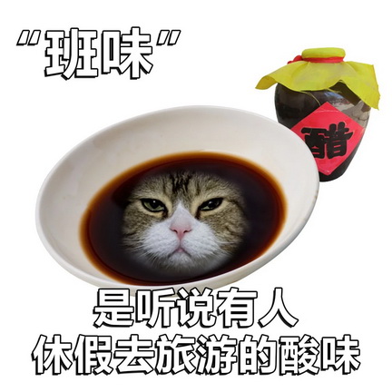 班味儿表情图片下载