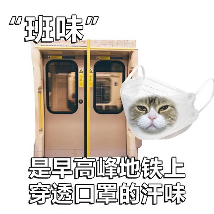 一身班味表情包