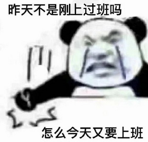 今天又要上班表情