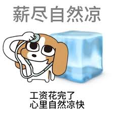薪尽自然凉打工人表情包
