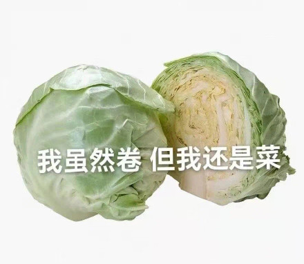 卷还是菜表情包