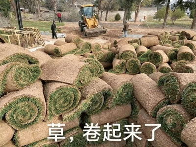草，卷起来微信表情包