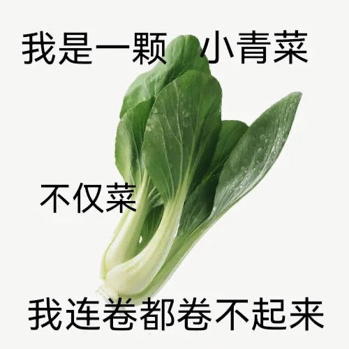 不仅菜，卷都卷不起来表情图