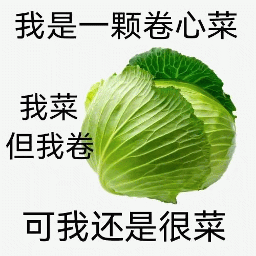 卷心菜表情包
