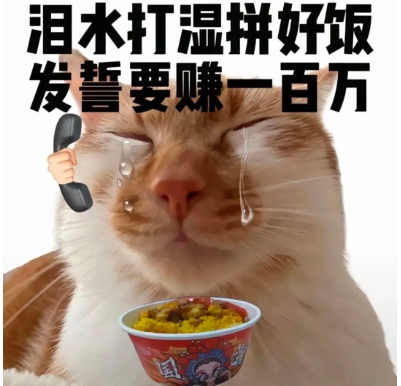 拼好饭表情包