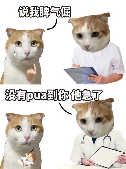 pua表情包