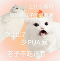 少PUA我微信表情包