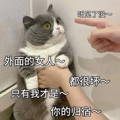 pua表情包