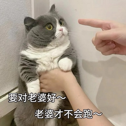 PUA我表情符号动图GIF