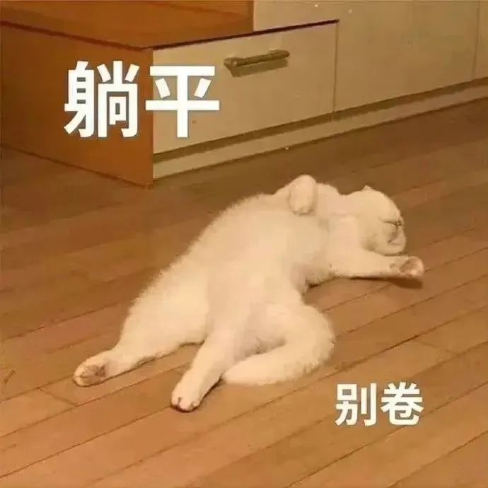 躺平中别卷表情图片下载