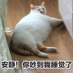 猫咪躺平表情包