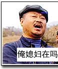 俺媳妇在吗范伟表情包