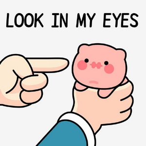 look in my eyes迷因