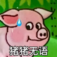 双汇小猪表情包 微信表情图