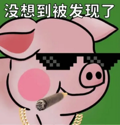 双汇小猪表情包