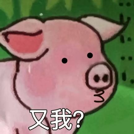 双汇小猪表情包 QQ表情下载