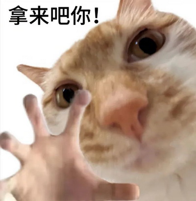 拿来吧你猫猫表情包