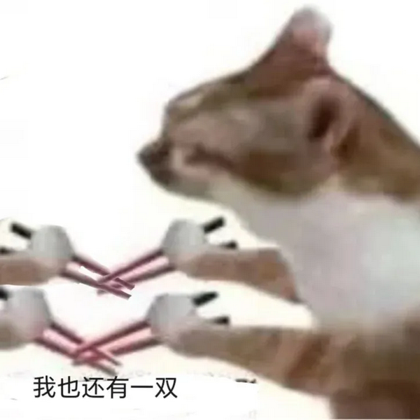 我还有一双猫猫表情包