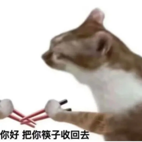 你好把筷子收回去猫猫表情符
