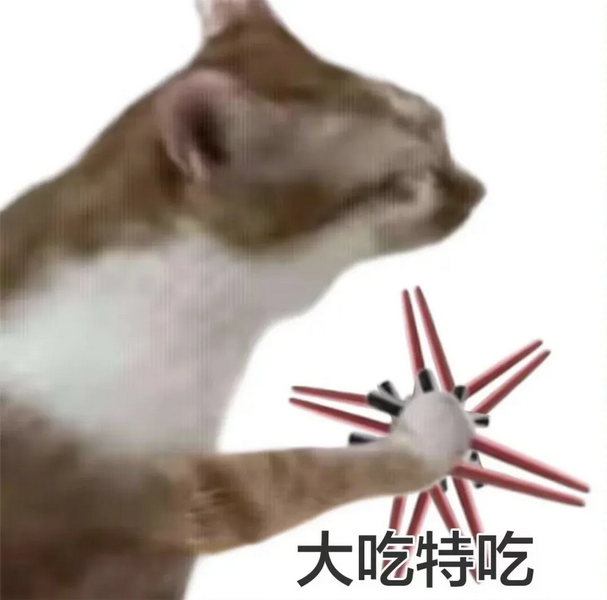 大吃特吃猫猫表情包